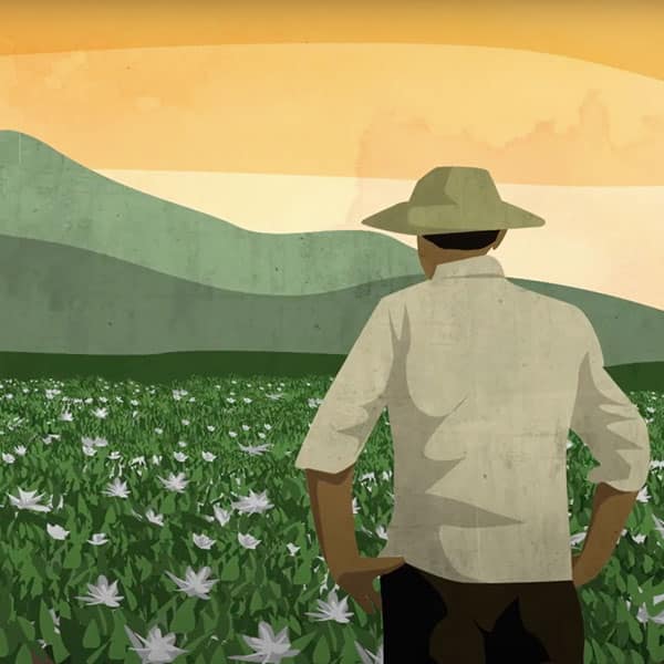 A man looking out into a field in thought