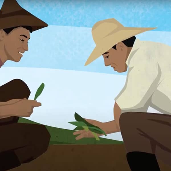 Two men checking their crops